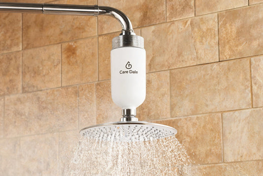 Care Dale shower filter in a Delhi bathroom, cutting hard groundwater that worsens hair fall and dry skin
