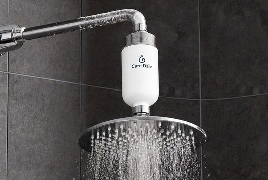 Care Dale shower filter on a scaled Hyderabad shower, softening hard borewell water behind hair fall and dry skin