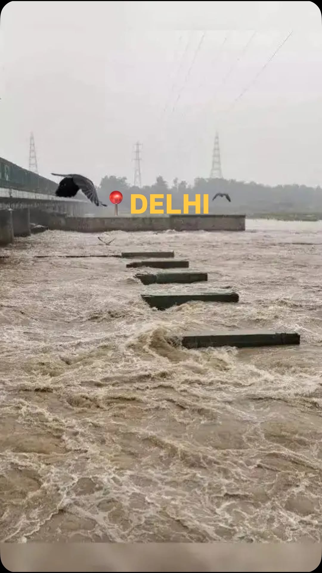 Delhi NCR Hardest Water Zones: Protect Your Family's Scalp Today