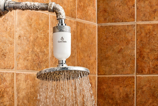 Care Dale shower filter amid heavy scale, softening Ahmedabad's very high-TDS hard water for hair and skin