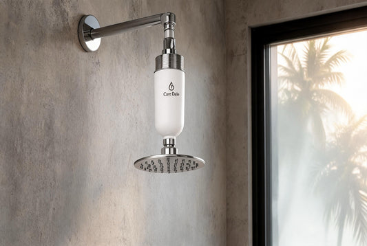 Care Dale shower filter on a concrete-wall Bangalore apartment bathroom with palm-tree silhouettes through the window - made for Bangalore water.