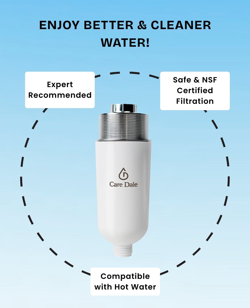Care Dale Filter for Borewell/ Tanker Water