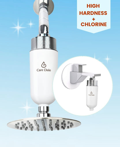 Care Dale Filter for Borewell/ Tanker Water