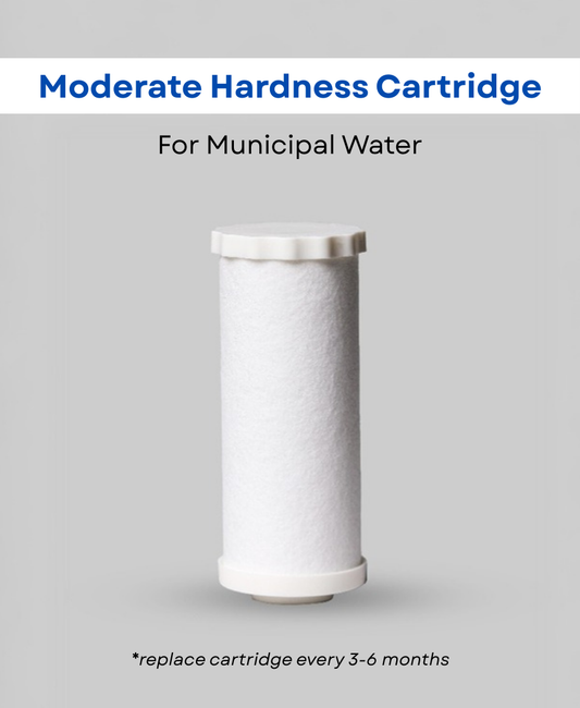 Replacement Cartridge for Municipal Water - Care Dale