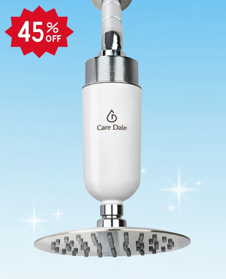 Care Dale Filter for Borewell/ Tanker Water